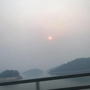 Meet your Posher, Reece